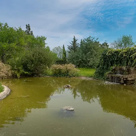 Akivillas Nature Ii
